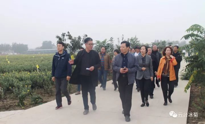 云臺冰菊基地發(fā)生了什么？一批批領導專家團隊前來！