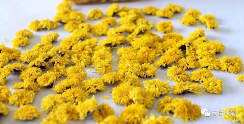 2018，種下希望，靜待花開(kāi)！